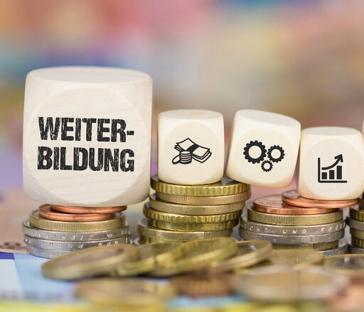 Das Bild zeigt mehrere Stapel Münzen, auf denen sich Würfel befinden. Auf einem großen Würfel steht dsa Wort "Weiterbildung", danach folgen sechs kleinere Würfel mit Symbolbilder, beispielsweise ein Daumen, der nach oben zeigt und ein Chart mit Aufwärtstrend.