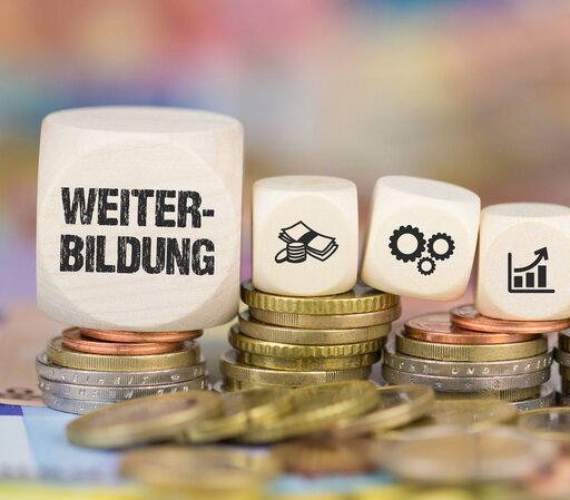 Das Bild zeigt mehrere Stapel Münzen, auf denen sich Würfel befinden. Auf einem großen Würfel steht dsa Wort "Weiterbildung", danach folgen sechs kleinere Würfel mit Symbolbilder, beispielsweise ein Daumen, der nach oben zeigt und ein Chart mit Aufwärtstrend.