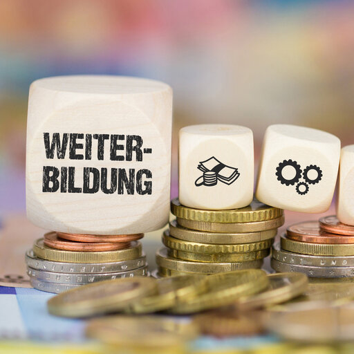 Das Bild zeigt mehrere Stapel Münzen, auf denen sich Würfel befinden. Auf einem großen Würfel steht dsa Wort "Weiterbildung", danach folgen sechs kleinere Würfel mit Symbolbilder, beispielsweise ein Daumen, der nach oben zeigt und ein Chart mit Aufwärtstrend.