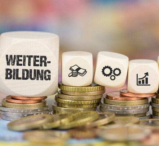 Das Bild zeigt mehrere Stapel Münzen, auf denen sich Würfel befinden. Auf einem großen Würfel steht dsa Wort "Weiterbildung", danach folgen sechs kleinere Würfel mit Symbolbilder, beispielsweise ein Daumen, der nach oben zeigt und ein Chart mit Aufwärtstrend.