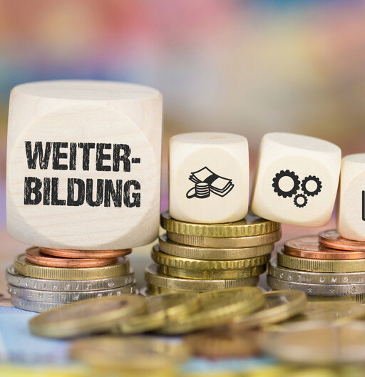 Das Bild zeigt mehrere Stapel Münzen, auf denen sich Würfel befinden. Auf einem großen Würfel steht dsa Wort "Weiterbildung", danach folgen sechs kleinere Würfel mit Symbolbilder, beispielsweise ein Daumen, der nach oben zeigt und ein Chart mit Aufwärtstrend.