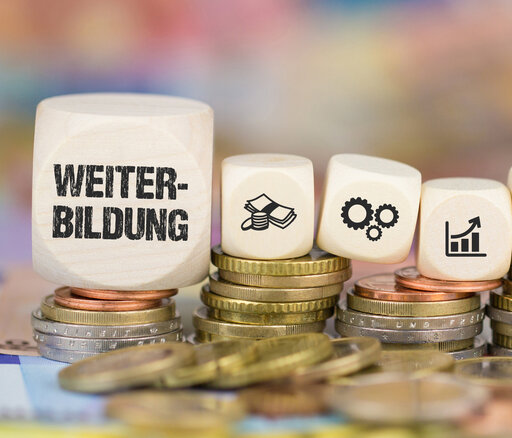 Das Bild zeigt mehrere Stapel Münzen, auf denen sich Würfel befinden. Auf einem großen Würfel steht dsa Wort "Weiterbildung", danach folgen sechs kleinere Würfel mit Symbolbilder, beispielsweise ein Daumen, der nach oben zeigt und ein Chart mit Aufwärtstrend.